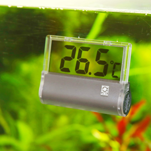 https://www.zoohaus.de/media/image/product/71163/md/6122000_jbl-aquarium-thermometer-digiscan.jpg